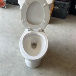 Gerber Toilet 