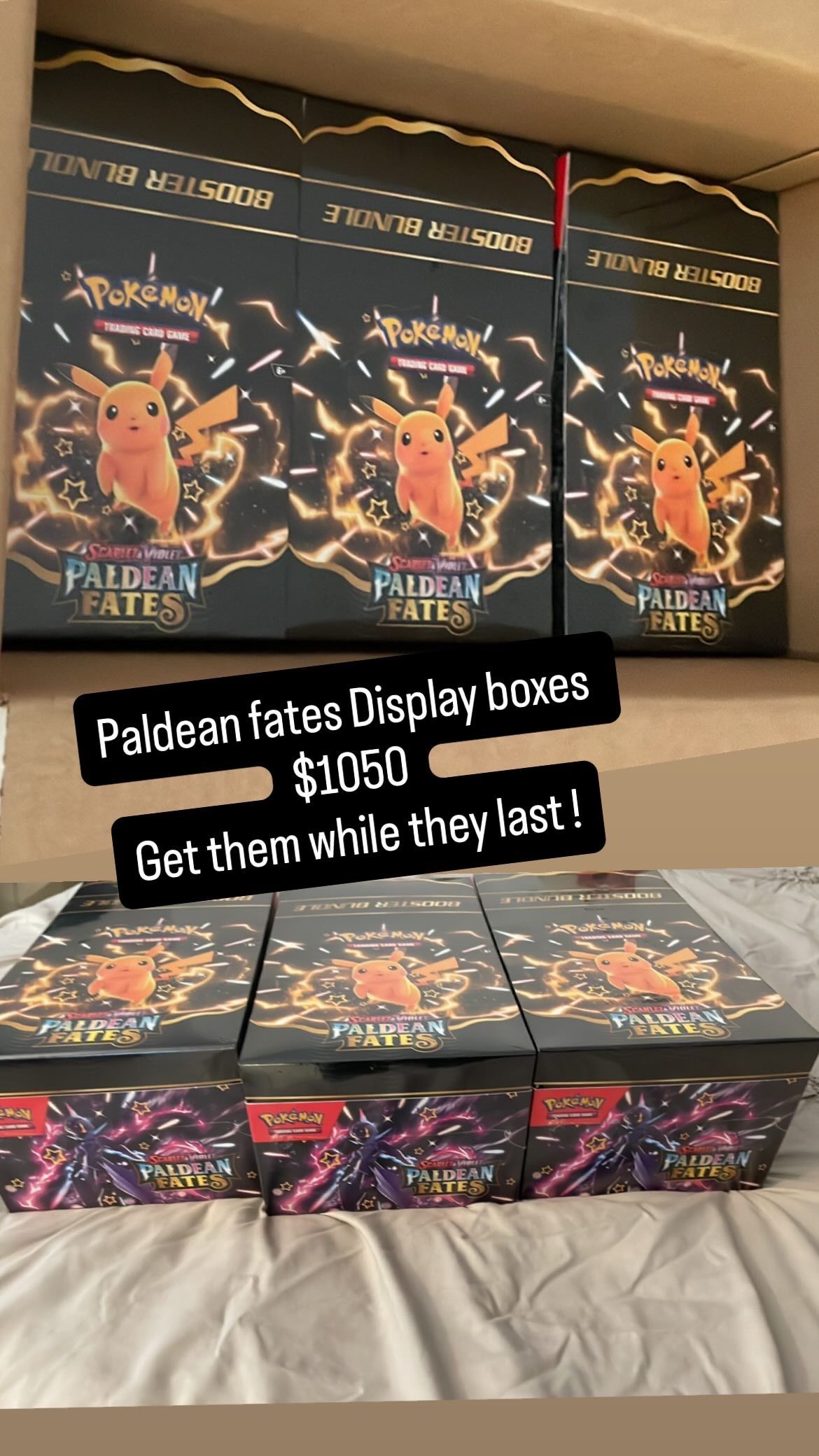 Paldean Fates Display
