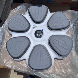 Smart Music Boxing Machine KJ-1421 w/ Glovesa