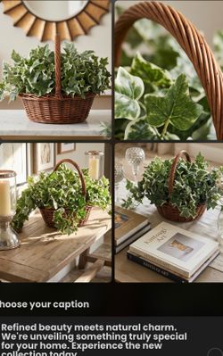 Decorative silk plant