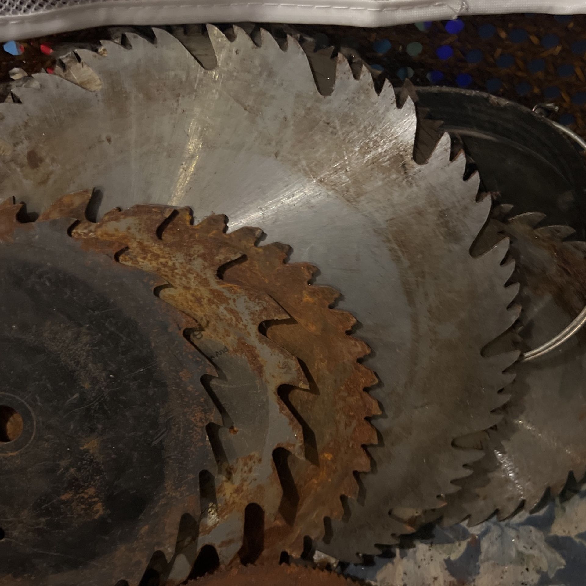 Saw Blades- For Those That Like To Cut Things Up