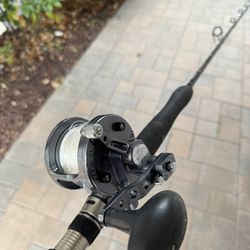 Avet Shimano Fishing Rod Reel