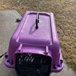 Pet Carriage 