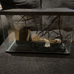 5-Gallon Fish Tank with Accessories – Ready to Use, Pick Up Today!