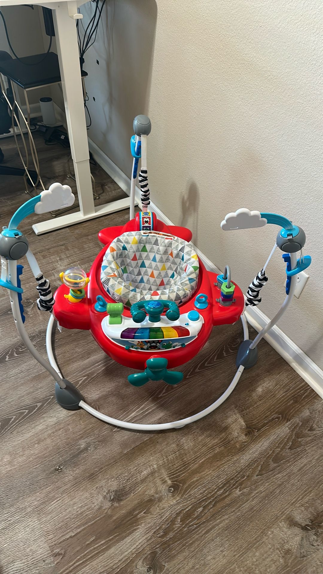 Baby Einstein Jumper