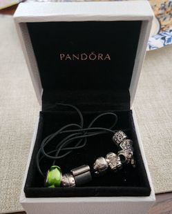 Pandora Charm Necklace with Multiple Charms
