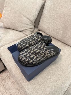 Dior Oblique Mule Slides with Buckle Size 9