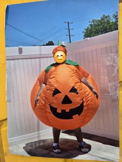 Inflatable costumes $25 each