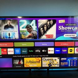 LG QNED TV (65”)