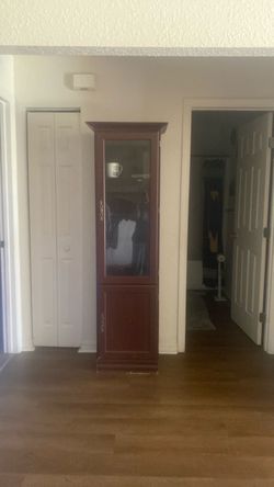 Narrow Wood Display Cabinet with Glass Door