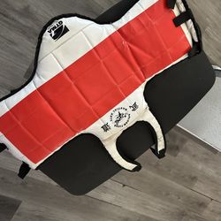 Mixed Martial Arts And Boxing