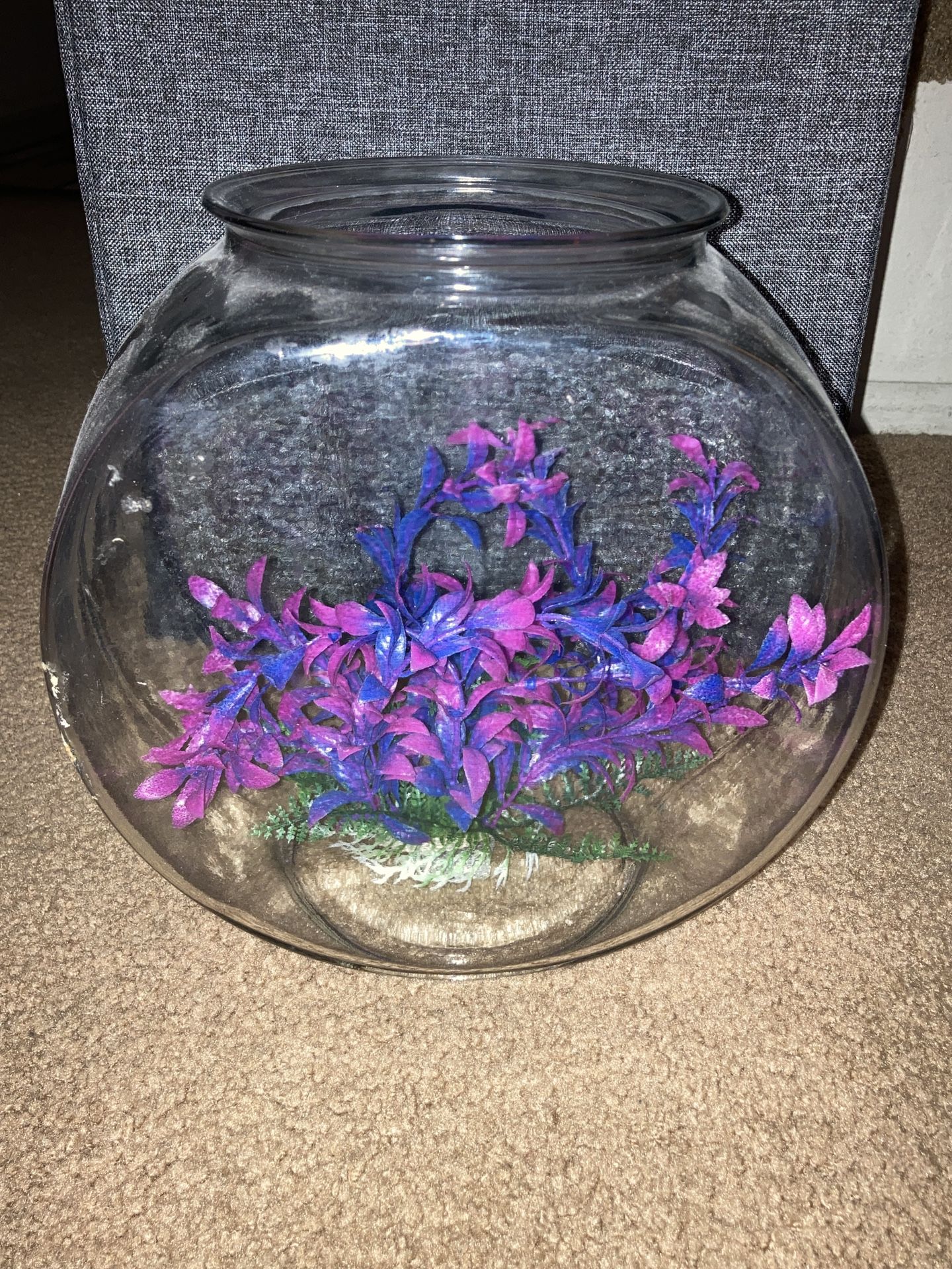 Fish Tank, Goldfish Bowl, Betta Tank