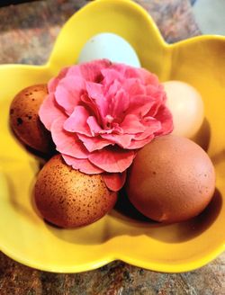 Fresh Chicken & Duck Eggs