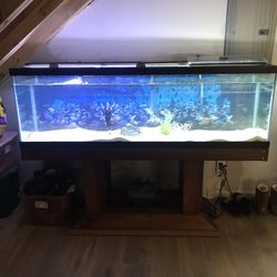 Aquarium Fish Tank
