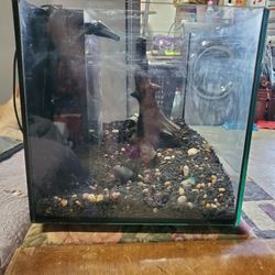 Fish Tank