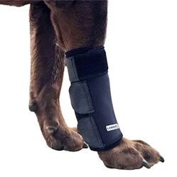 “New”Dog Front Leg Wrap Brace(wounds ,sprains,Arthritis)Xtra Large/large(8”L X 6”w)retail$35