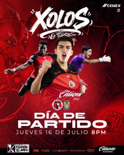 12 TICKETS XOLOS VS TIGRES VIP SUITE 07/16/2026