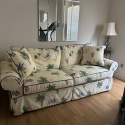 Beautiful Pull Out Couch
