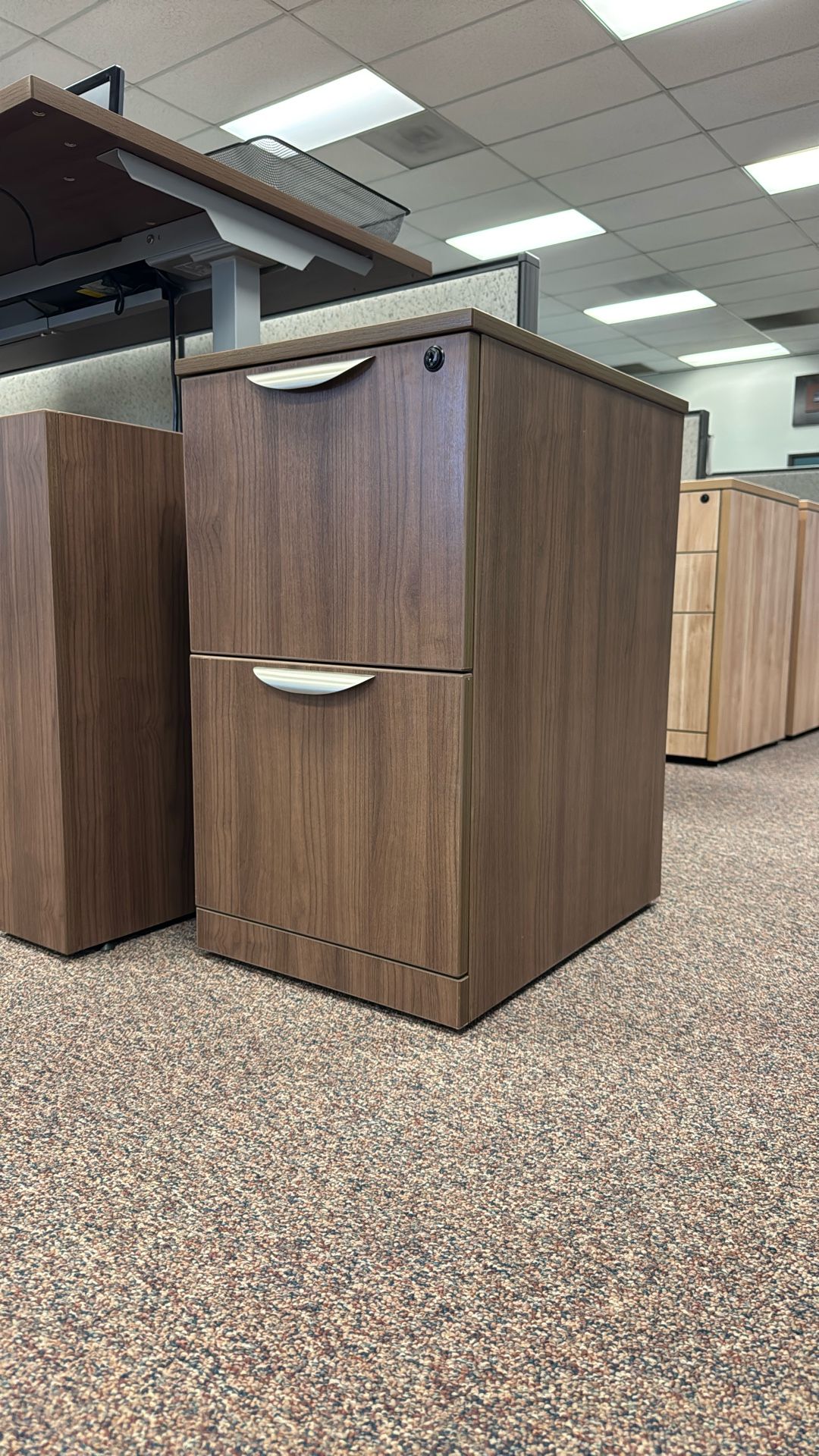 2 Drawer Vertical File Cabinet