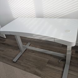 COSTCO White Electric Standing Desk
