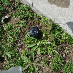 Need New Sprinklers?