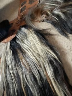 Danza De Los Diablos Chivarras