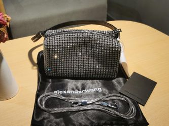 Alexander Wang Heiress Pouch In Crystal Mesh