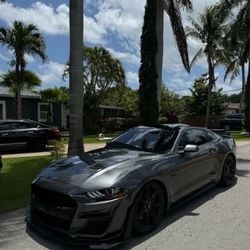 2019 Ford Mustang GT Premium   