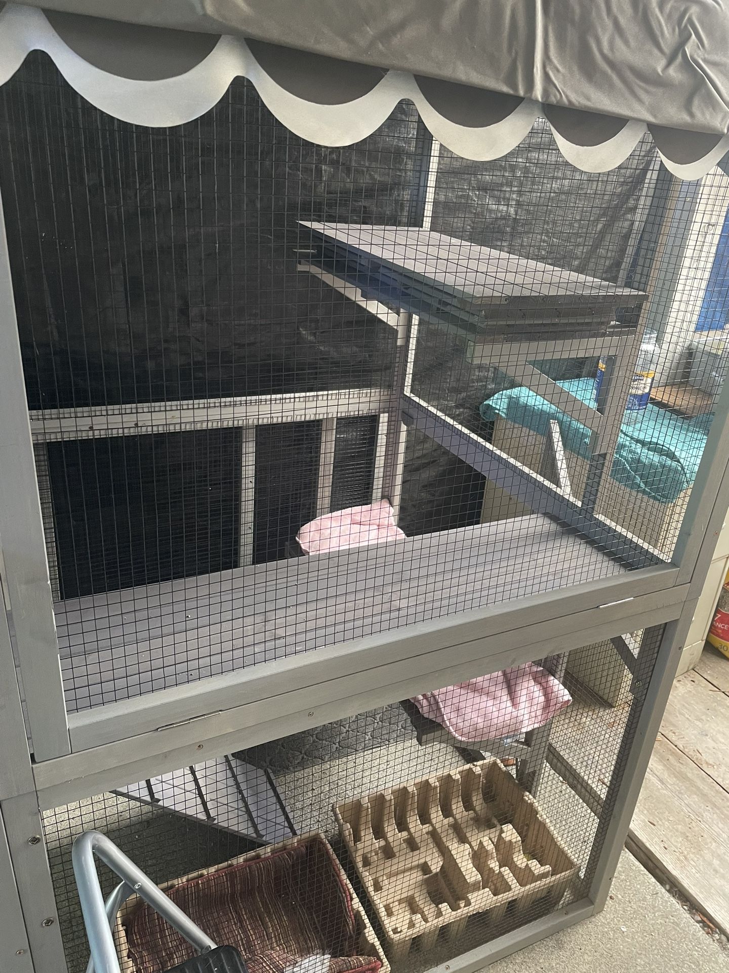 Cat Cage