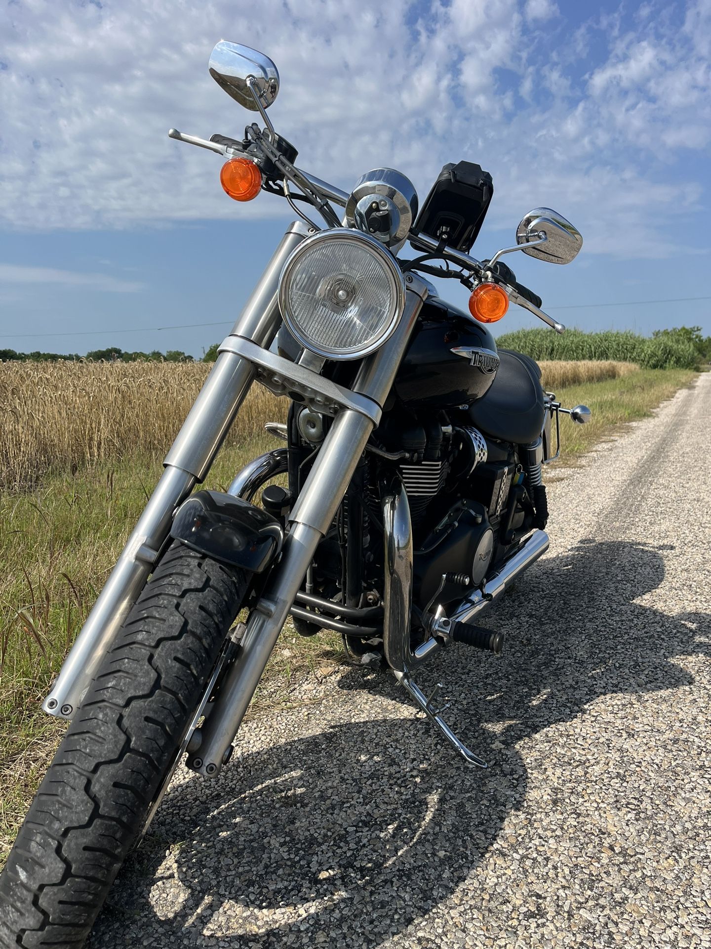 2009 Triumph Speed master
