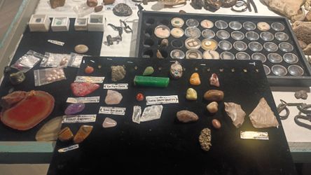 Ancient Relics ,Precious Gemstones ,Crystals ,Fossil Collection