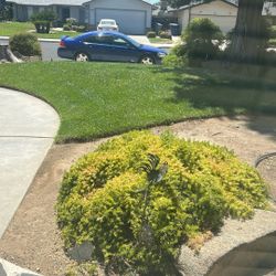 2006 Chevy implala SS 