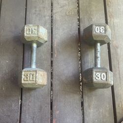 30 Lbs Dumbbell Workout Equipment 