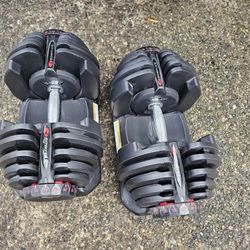 Bowflex Dumbells 10-90 