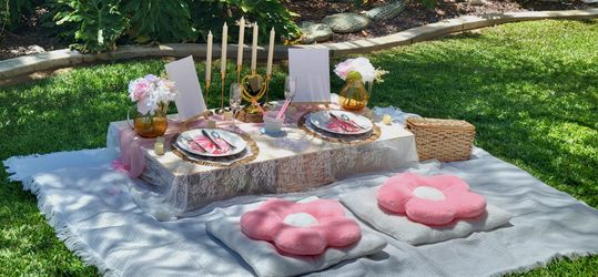 Picnic and Painting Setup