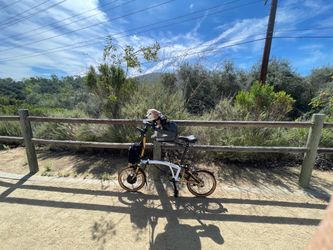 Buddy rider dog bike seat