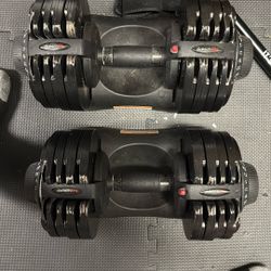 Adjustable Weights