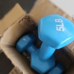 5 Lb  Dumbbell Weights $10