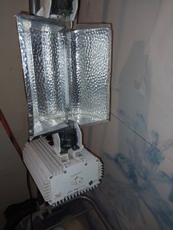 Grow Lamp