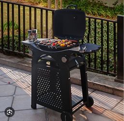 Brand New Bbq