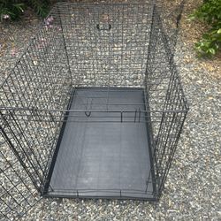 2 Door Animal Crate 