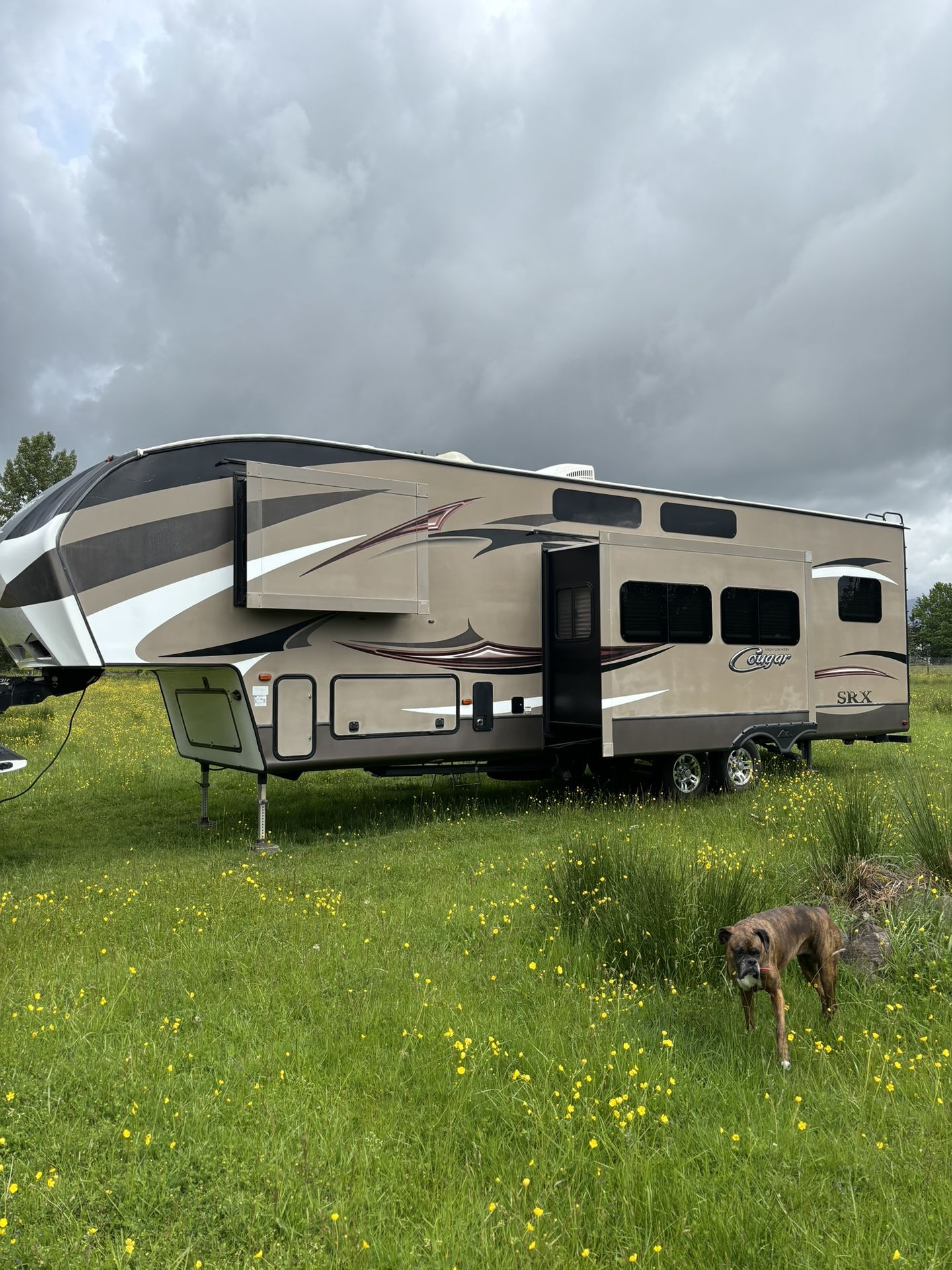 2015 Cougar Srx 326