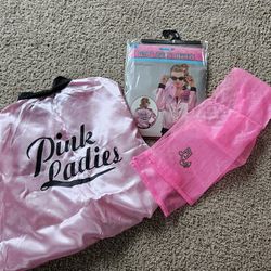 Adult Pink Ladies Halloween Costume 