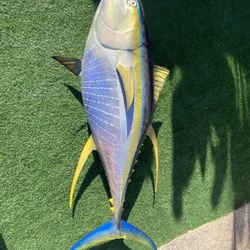 Yellowfin Tuna 85” (Mounted)