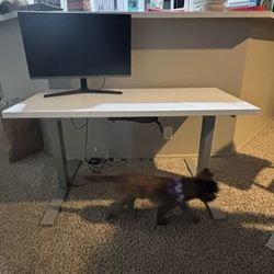 Computer Desk + Samson Monitor