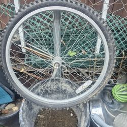 Llanta Grande 10 De Bicycle 