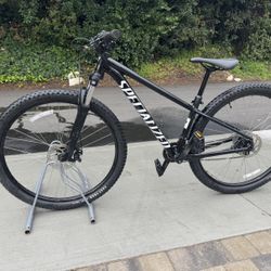 Specialized Rockhopper 29 S