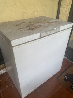 Freezer For Sale