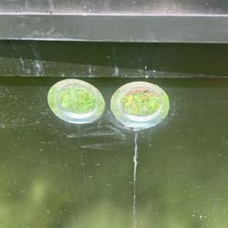 75 Gallons And 10 Gallons