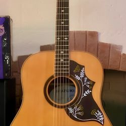 Acoustic Guitar- Vintage Suzuki Hummingbird Guitar Package